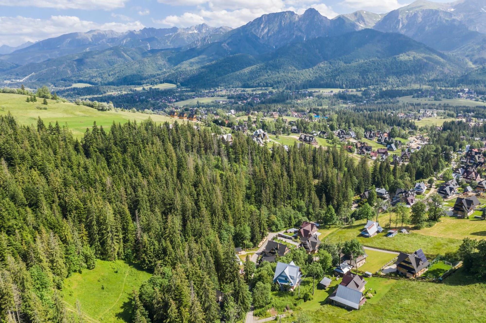 Tatrytop Alpejski Spa Koscielisko Bagian luar foto